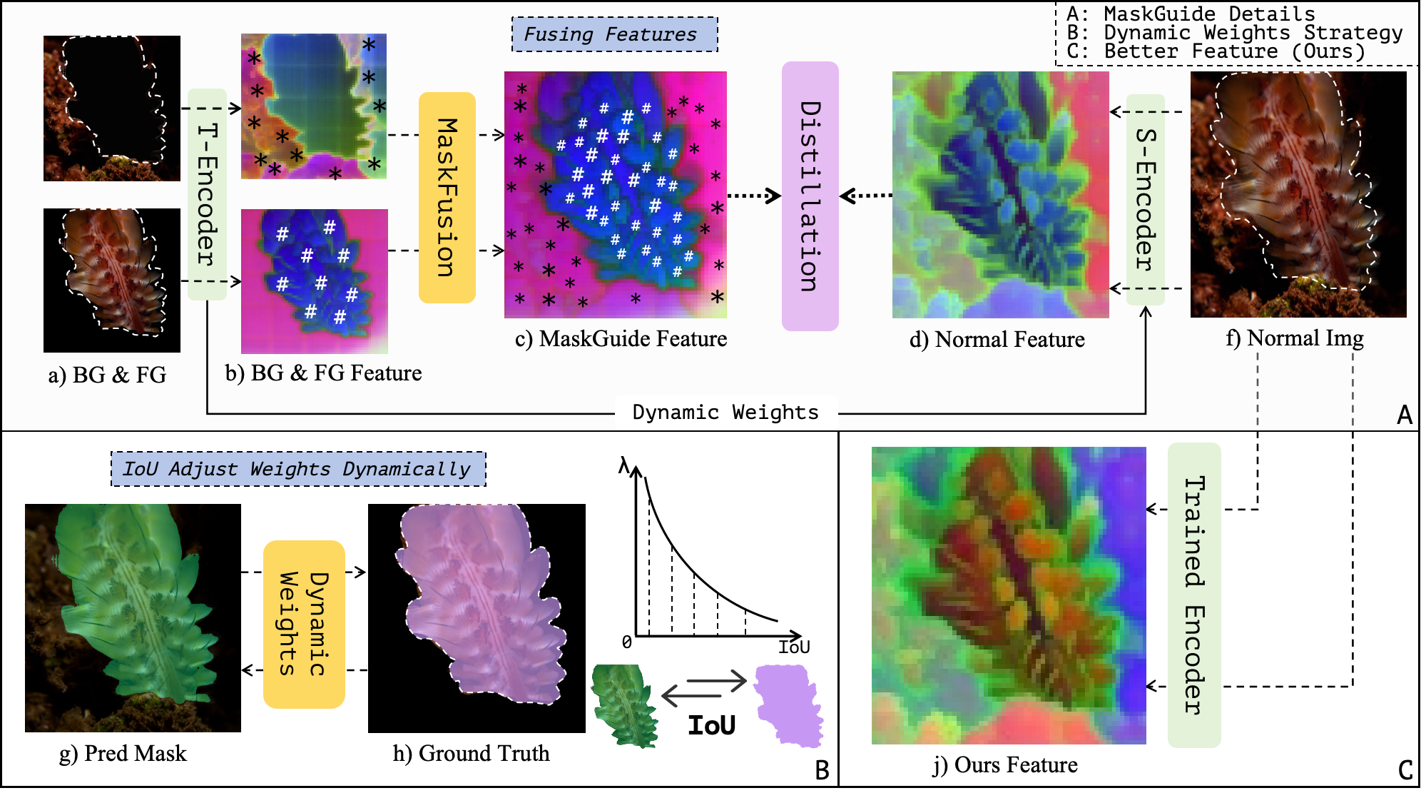 MaskGuide schematic: teacher features are masked into foreground and background branches, fused by MaskFusion, and distilled into the student encoder with IoU-guided dynamic weighting